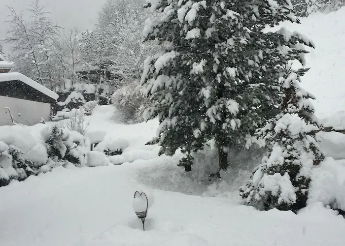 Hoerhager Appartement Finkenberg